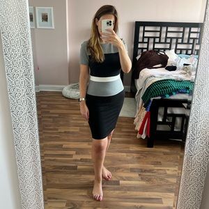 NWOT French Connection bodycon stretch colorblock dress